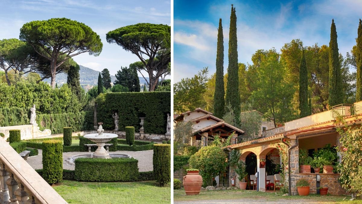Bring Italy Home: How to Create a Tuscan-Style Garden With Lemon Trees and Stone Pots