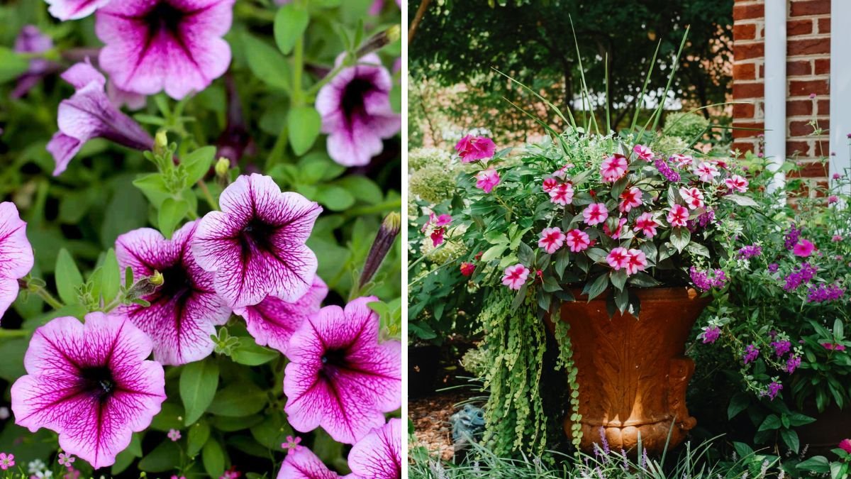 Expert Guide — 14 Plants You Should Never Deadhead