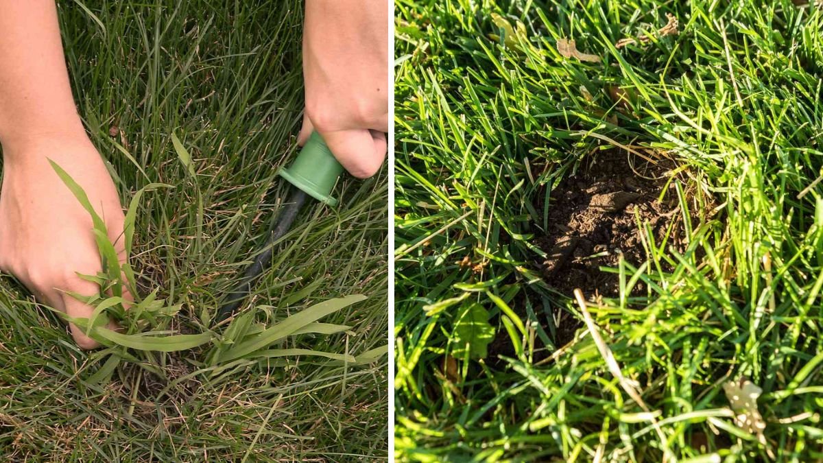 How to Get Rid of Crabgrass on the Lawn: Proven Tips That Work in 2026