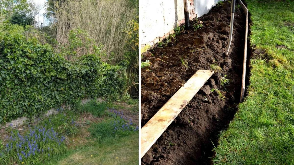 Viral Gardening Hack — Clever Method to Fight Concerning Backyard Growth That “Gets in the Tight Spaces”