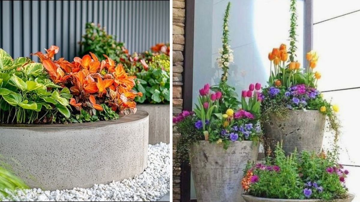 Stunning Cement Flower Pots for Your Patio & Front Garden (Easy DIY & Decor Ideas)