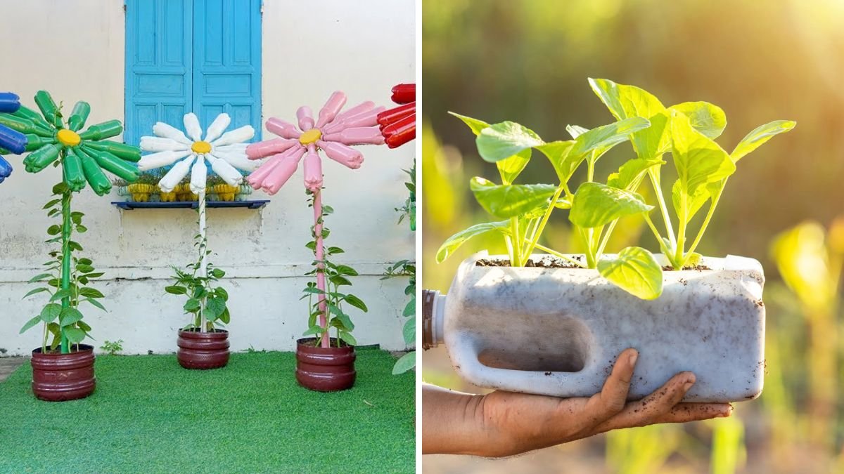 No Need Garden — Recycle Plastic Bottles Into Unbelievably Beautiful Creations