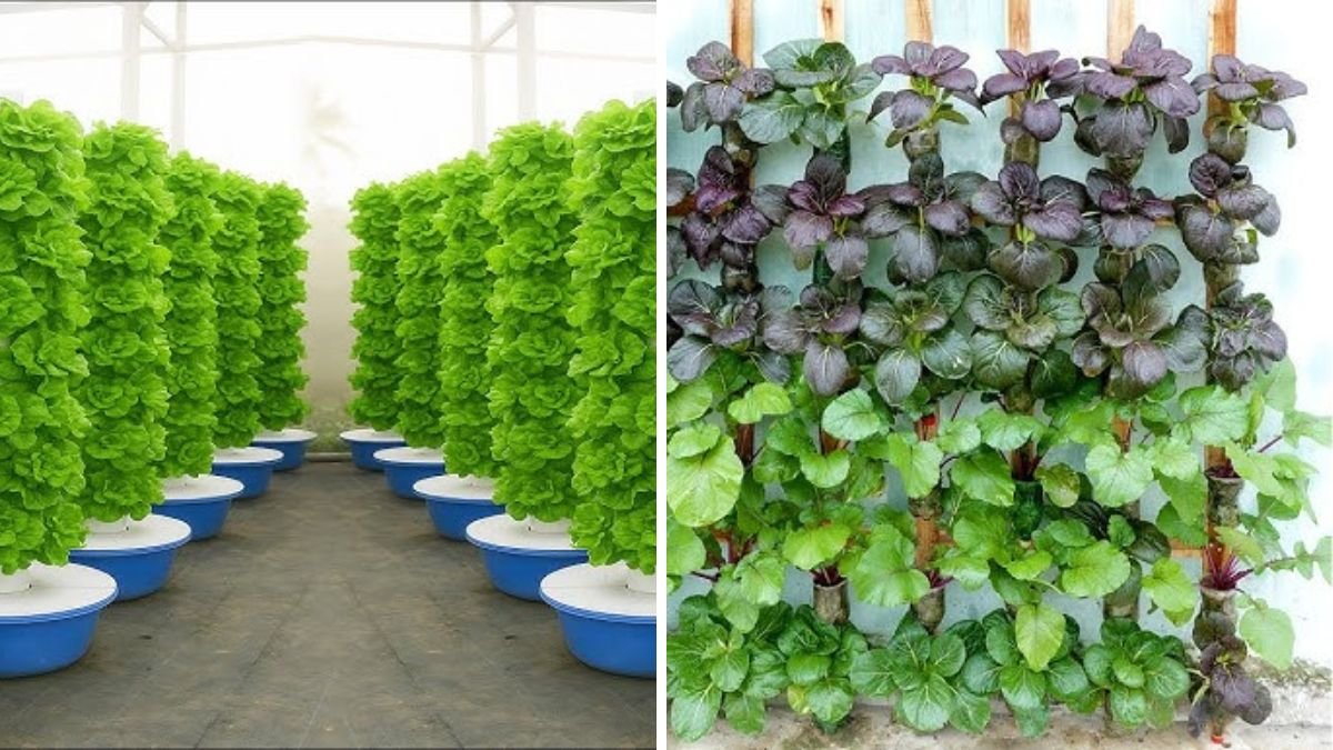 No Garden Needed: Growing a Vegetable Tower Super Easy at