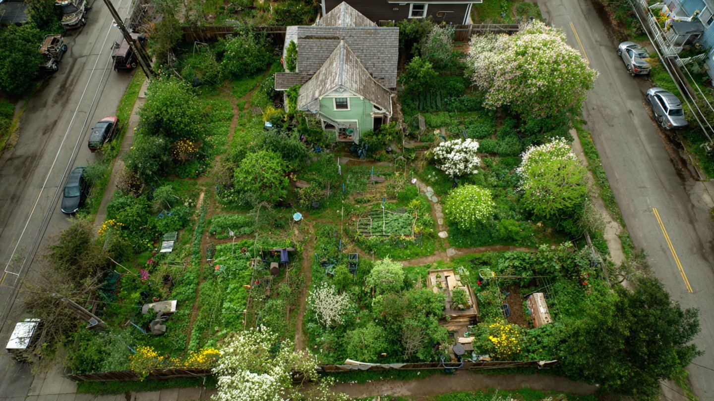How Can You Transform Your Lawn Into a Food Forest in Just One Season?