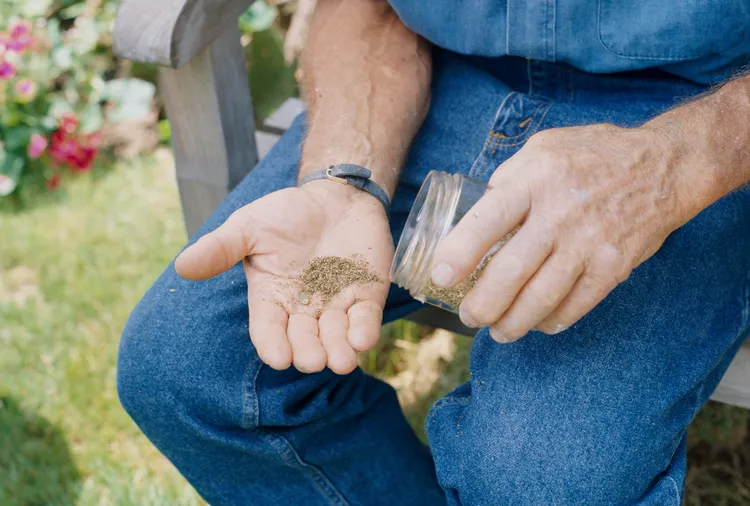 7 Ways to Get Free Seeds for Your Garden (and Share Your Own)