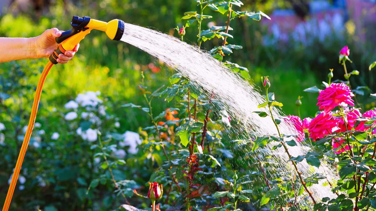 An Old Garden Hose Is More Useful Than You Think – 4 Clever Ways to Reuse It