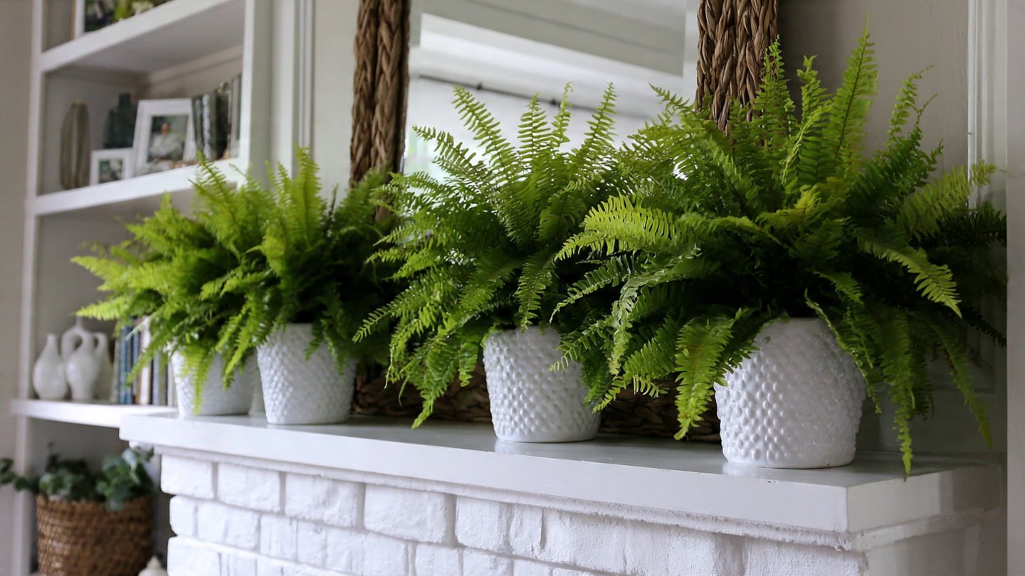How Can You Perfectly Style a Mantel with Symmetrical Potted Ferns?