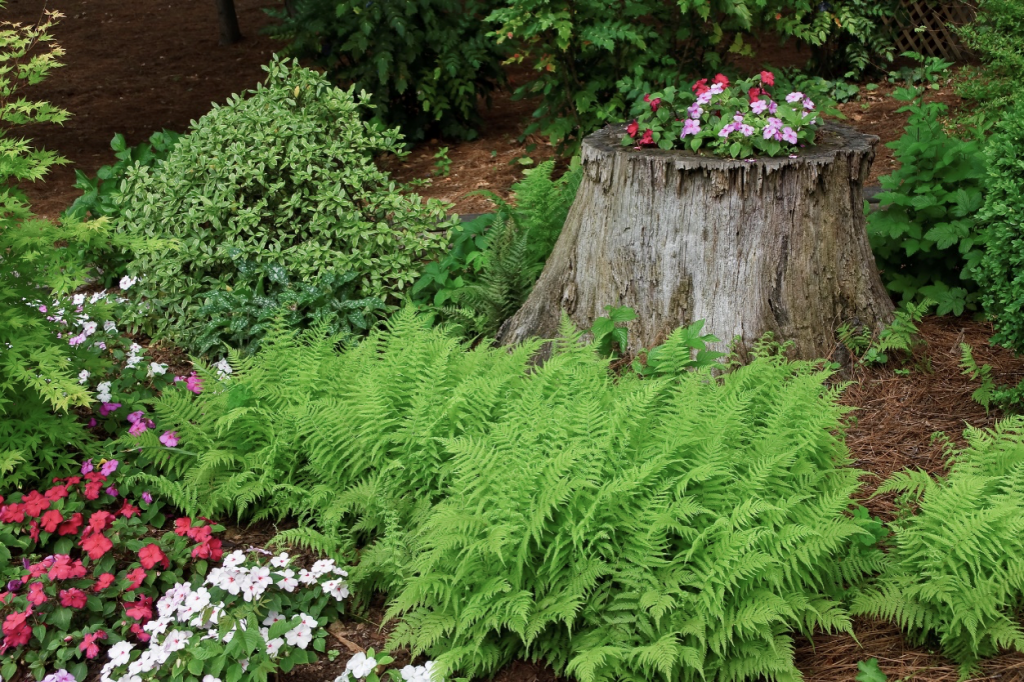 Hide The Eyesore Of An Old Tree Stump With This Raised Garden Bed Idea