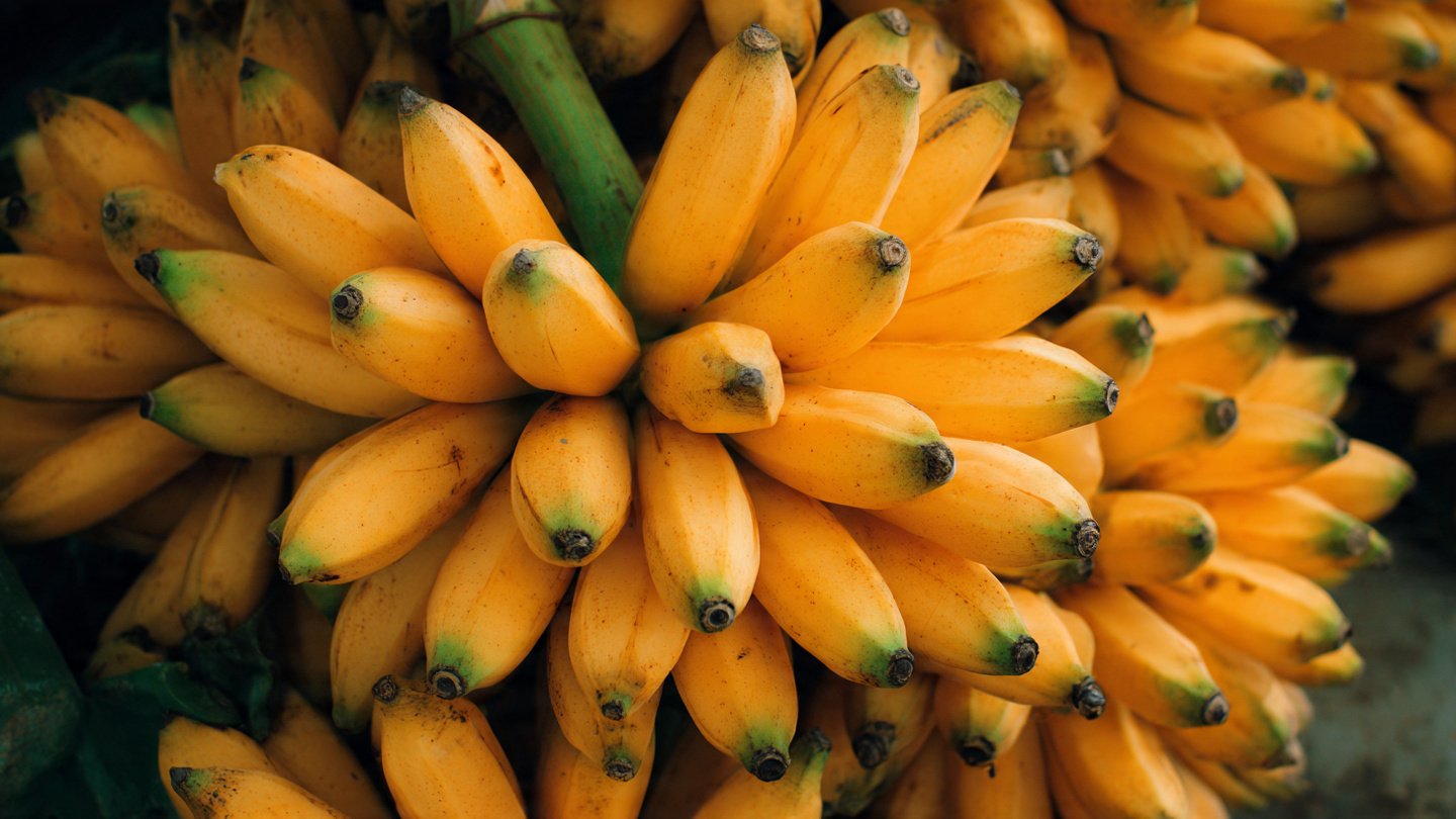 Understanding the Causes of Fruit Overripening in Short Time Frames