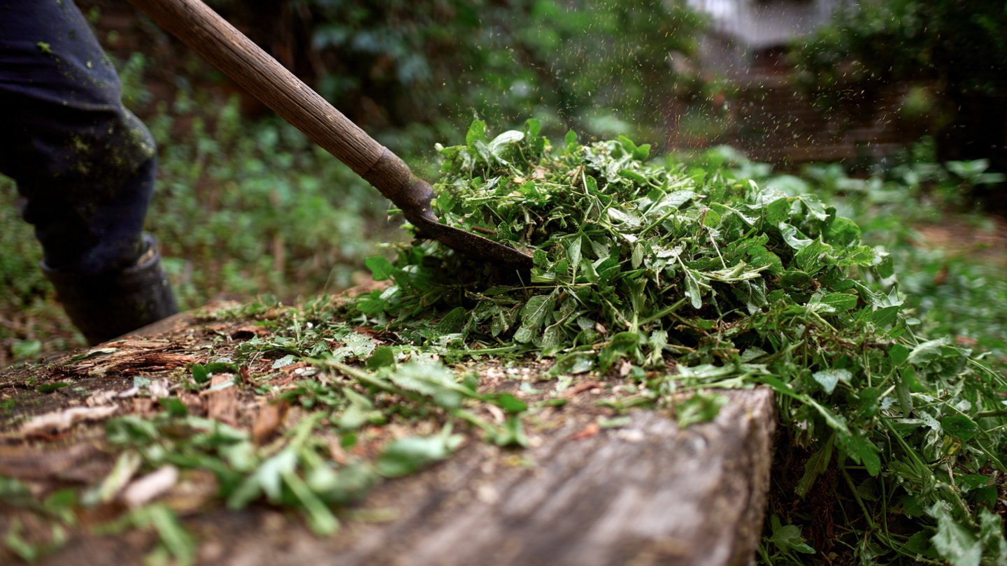 Why Is Vinegar Your Secret Weapon for Crushing Weeds in the Garden?